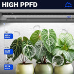 Barrina T5 Grow Lights for Indoor Plants, 2FT 5000K Full Spectrum, 4 Packs - Image 4