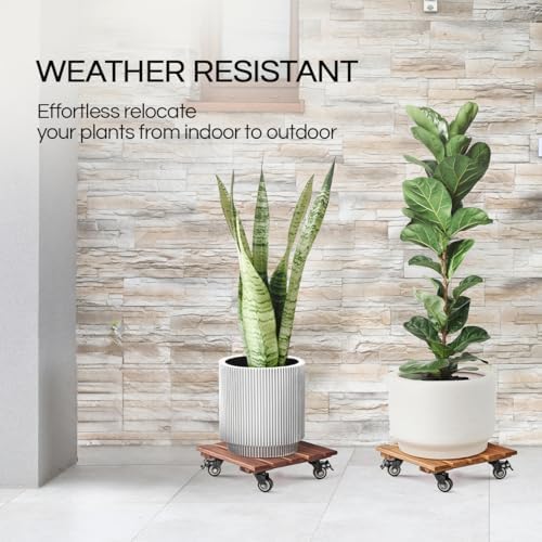 THYOI 2 Pack 12" Acacia Wood Plant Caddy with Lockable 360° Caster Wheels, 300 LB Heavy Duty Rolling Stand for Indoor Outdoor Planter Pots, Wooden Dolly for Patio (Brown, Square) - Image 6