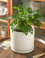 ADN 10inch White Ceramic Planter Pot with Drainage Hole and Saucer - Image 5
