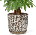 10 Inch Ceramic Planter Pot with Saucer Drainage Leak-Proof Mesh,Flower Pots for Indoor Plants with Gardening Gloves,Ceramic Planter(Spotted-White) by Unknown