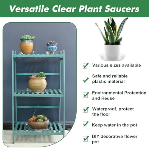 36 Pack Clear Plant Saucers for Indoors (4 6 8 10 12 14 Inch) Flower Pot Saucers for Potted Plants Plate Set Plant Trays for Indoors No Holes Plants Saucer Trays for Pots Drip Tray Bull Plastic Tray - Image 6