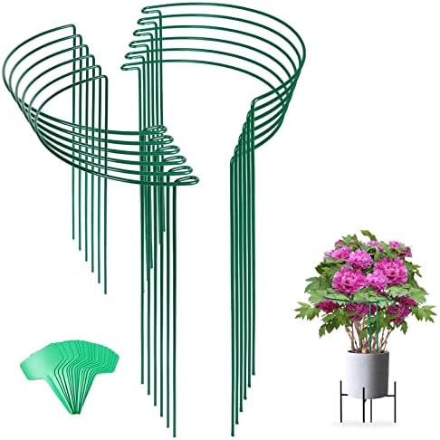 12 Pack 24 Inch Tall Snake Plant Support Stakes with 15 Twist Ties by Joyhalo