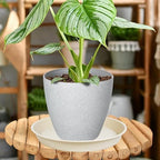 OVZILKI 2 Pack of Plant Saucer Tray 19 inch, Heavy Duty Plastic Pot Plant Drip Trays Saucers for for Indoors Outdoor, Plant Water Tray for Planters 16-19" (19", Beige) - Image 4