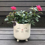 Planter for Succulent Plant Ceramic Plant Pots Indoor, Novelty Planters for Home Office Garden (White Cat Large, 1) - Image 2