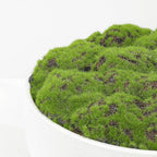 NAHARO New Moss Bowl, Handmade Ceramic. 11" Artificial Moss Bowl Centerpiece for Home Decoration, Living Room, Office - Image 2