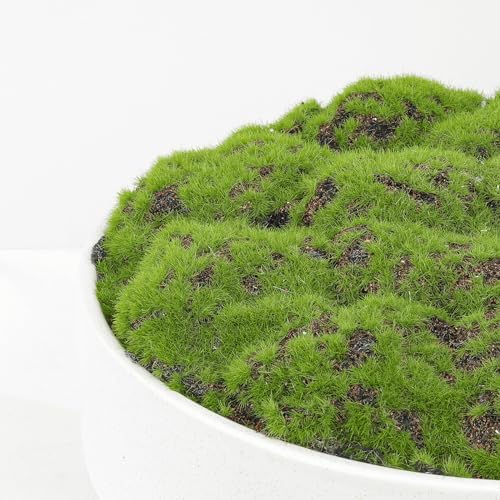 NAHARO New Moss Bowl, Handmade Ceramic. 11" Artificial Moss Bowl Centerpiece for Home Decoration, Living Room, Office - Image 2
