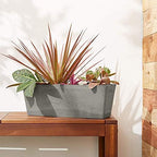 PSW Pot Collection [17.5 inch] Plastic/Stone/Wood Composite Window Box Rectangular Planter – No Drainage Hole (Drillable), Indoor/Outdoor Pot for Flowers and Vegetables, Cement Color - Image 4