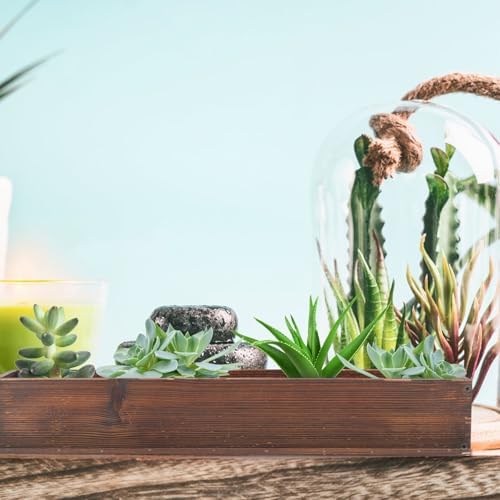 Kisangel Large Rectangular Carbonized Wood Planter Box for Indoor and Outdoor Succulents with Drainage Hole, Rustic Wooden Window Sill Flower Pot for Balcony Gardening - Image 6