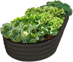 Plant & Plot Galvanized Raised Garden Beds Outdoor // 8×4×1 ft Planter Raised Beds for Gardening, Vegetables, Flowers // Large Metal Garden Box // Patented Tool-Free Design (Black) by PlantPlot