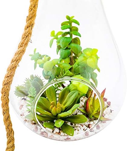 Restaurantware-7.9 x 12.6 Inch Hanging Terrarium With Faux Succulent, 1 Artificial Succulent - In Hanging Glass Terrarium, With Knotted Hemp Rope, Plastic Hanging Succulent, Patio Or Home Decor - Image 2