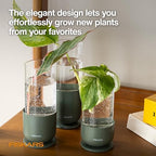 Fiskars Plant Propagation Set, Glass Vase Hydroponic Growing System, 3-Pack - Image 3