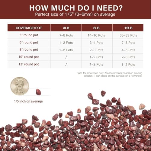 NUPICK 12 lbs Pebbles for Indoor Plants, 1/5 Inch Pea Gravel for Fish Tank - Image 6