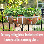 LaLaGreen Deck Railing Planter Boxes (2 Pack, 30") White Metal Rectangular Window Flower Box with Coco Liner, Large Wall Hanging Planter for Outdoor Plants Balcony Fence Deck Rail Porch Patio Garden - Image 6