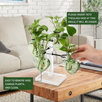 Plants Propagation Stations Plant Terrarium Kit Gift for Women - Image 4