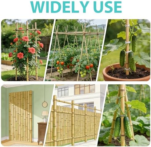 Bamboo Stakes 4.8FT, Approx 5ft Plant Stakes, Garden Stakes 25pcs Specifically Designed for Climbing Plants, Ideal for Tomatoes, Beans, Cucumbers, Peppers, Vines, and More Plant Growth - Image 7