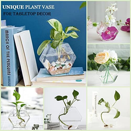 Kingbuy Hexagon Wall Planter Set - 3 Pack Glass Propagation Terrarium Vases with Hanging Mounts for Indoor Plants, Air Plants & Hydroponic Stations Home Office Decor, Plant Lover Gifts (Large) - Image 3