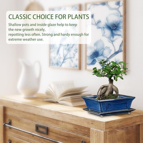 Villa Como Set of 2 Bonsai Pots with Drainage Tray, 7.5" Bonsai Planters - Image 4