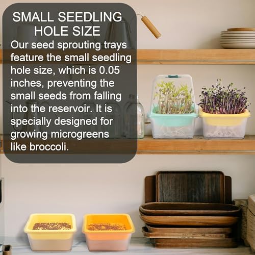Microgreen Growing Trays, 5" x 5" Sprouting Tray with Humidity Dome, 1.2 mm Small Mesh Holes, BPA Free, Sprouter Kit for Growing Mirco Seeds, Like Broccoli, Alfalfa, Radish, Clover - 6 Pack | Clear - Image 4