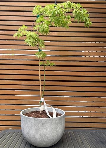 Large Resin Planter Pot for Trees Big Flower – Lightweight Round Plant Pot with Stone-Textured Finish, Weather-Resistant Decorative Outdoor & Indoor ((3 Sizes Combo: 13" + 17.7" + 21.7")) - Image 4