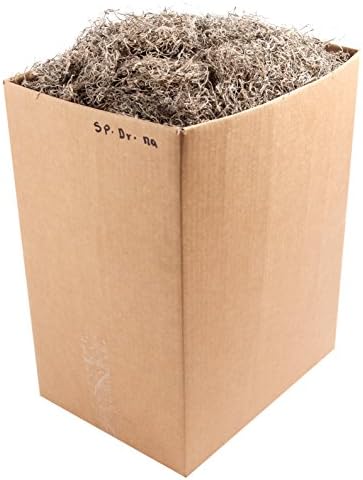 SuperMoss 26934 Spanish Moss Preserved, Appx. 5 lb Bulk Case, Natural by SuperMoss