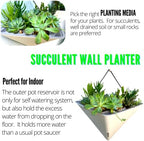 LaLaGreen Bundle- 2 Pack, 12 Inch White Geometric Self Watering Pot + 7 Pack, Small Medium Large Planter Rectangular Window Plastic Boxes Plant Herb Flower Holder Modern Stylish Hanging Indoor Decor - Image 4