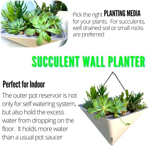 LaLaGreen Bundle- 2 Pack, 12 Inch White Geometric Self Watering Pot + 7 Pack, Small Medium Large Planter Rectangular Window Plastic Boxes Plant Herb Flower Holder Modern Stylish Hanging Indoor Decor - Image 4