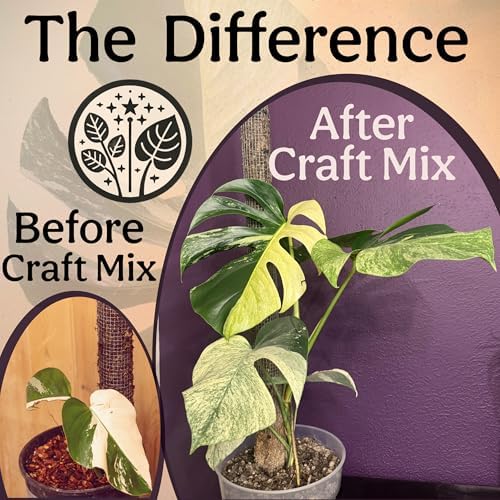 Craft Aroid Potting Mix- Elite Alocasia, Philodendron, Monstera Soil Mix, Chunky, Well Draining Potting Soil for Indoor Plants, All Tropical Plants & Houseplants, Peat Free 12QT - Image 4