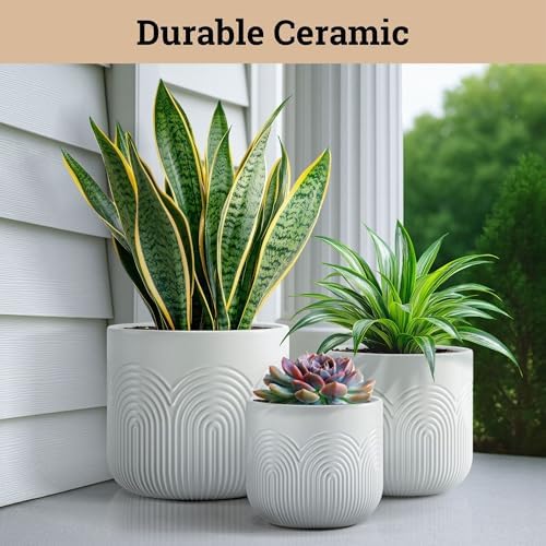 Ceramic Pots for Plants Set of 3, 6, 5, 4 Inch Diameter with Drainage Holes - Image 5