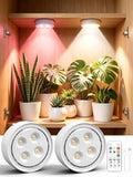 2 Pack Rechargeable Grow Light, Cordless Full Spectrum LED for Indoor Plants, Magnetic Mount, Timer & Remote, USB-C 2000mAh for Shelf, Herbs, Succulents, Seedlings & Greenhouse (White) by Unknown