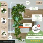 MY ROVALA Silk Plants for Home Decor Indoor in Pot Realistic Artificial Plants Hanging Faux Plants Indoor Fake Potted Plants for Shelves Bedroom Bathroom Trailing Plant, Fake Pothos Ivy (Dark Green) - Image 7