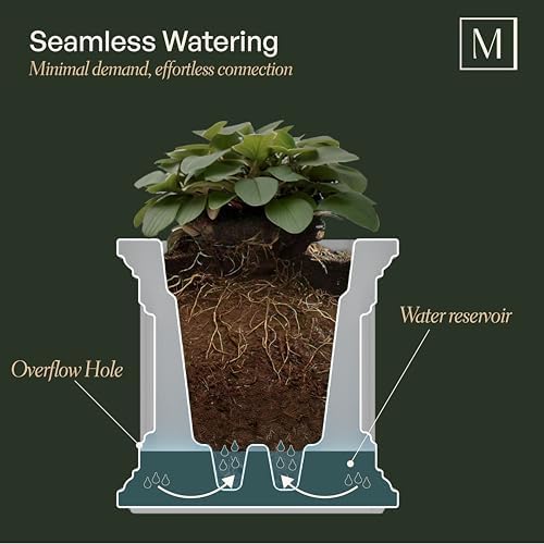 Mayne Cape Cod 20in Self-Watering Square Planter, Black - Image 5