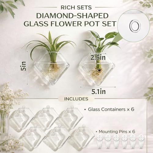 Yungyan 6 Pack Wall Mounted Glass Planter Borosilicate Glass Diamond Hanging Vase with Hidden Invisible Hook Hydroponic Plant Propagation Station Clear Wall Planter for Home Bathroom Office Decor - Image 2