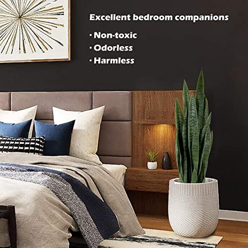 Worth Garden 3ft Artificial Snake Plant Fake Sansevieria Indoor Outdoor, 28 Thick Leaves Lifelike Faux Silk Plant, Home Decor Mother in Law Tongue Plant 35in, with Black pot & Dry Moss Included, Green - Image 4