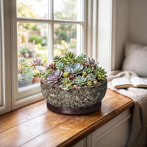 Bonsai Pots, 8 Inch Ceramic Succulent Pot with Saucer, White Leopard - Image 4