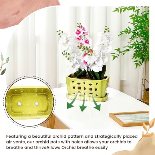 Teenyyou 9.5" Orchid Pot Ceramic with Hole Saucer for Repotting, Yellow - Image 5