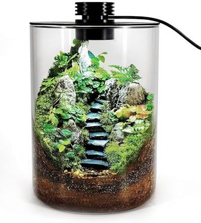Desktop Glass Terrarium with Grow Light (7.5" H x 5.9" D) - for Succulents, Moss, Mini Gardens, Betta Fish Tanks, Mushroom Cultivation | Indoor Plant Growth | Office/Home Decor | Plant Lover Gifts by DPROOTS
