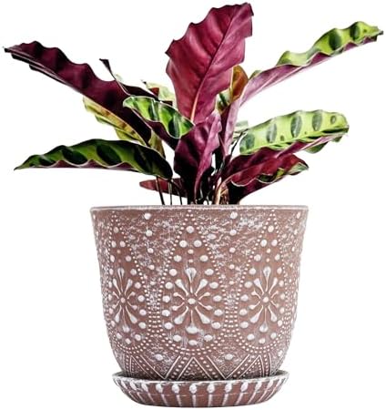 Gepege 10 Inch Ceramic Plant Pot for Indoor Plants with Drainage & Saucer by Gepege