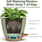 Plant Pots for Indoor 9/8/7/6.5/6/5 Inch, Self Watering Planter Pots with Drainage Holes and Saucers, 6Pcs Plastic Flower Pots for Indoor & Outdoor Plants（Green） - Image 4