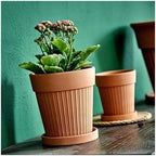 Flower pots 2 Pack Terracotta Planter Flower Pot Outdoor Indoor(15.5cm) - Image 4