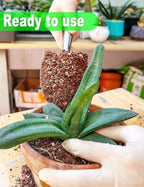 TOYPOPOR Succulent Soil, Cactus Potting Mix 12.5 Pounds/10QTS, High Drainage, Pre-Mixed Ready to Use for All Succulent Varieties, Indoor Plants, Bonsai, Terrarium, Houseplant, 30% Particles 70% Soil - Image 4