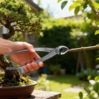 4 Pcs Bonsai Tool Kit, Carbon Steel, for Pruning Shaping Styling, Trunk Splitter Included - Image 3