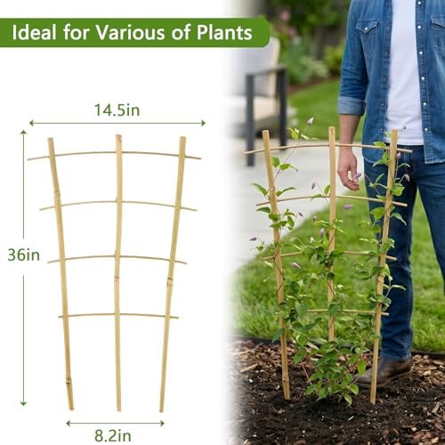 Avalution 10 Pack Bamboo Trellis for Climbing Plants, 3 FT Garden Ladder Trellis for Potted Plants Indoor, Fan-Shaped Small Plant Support Trellis for Houseplants Ivy Hoya Vine Monstera - Image 6