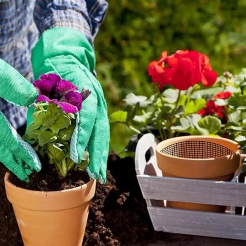 20 Pcs Rectangular Flower Pot Mesh Pad 20x30cm Soil Cover Grid - Image 3