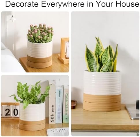 HASENSE Ceramic Plant Pots with Saucers Set of 3, 8+6+4.6 Inch Planters for Indoor Plants with Drainage Holes,Two-Tone Design White Flower Pots for Snake Plants & Cactus,Home & Office Decor - Image 4