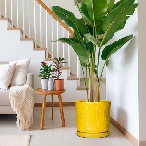 Eightpot Ceramic Flower Pots, 12 Inch Plant Pot with Drainage Holes and Saucers, Round Pots for Plants for Indoor Outdoor, Boho Decorative Planter, Garden House Decor, Gifts for Women, Yellow - Image 6