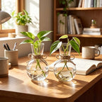 10 Pack Glass Plant Propagation Stations, Plant Terrarium Bulb Glass Propagation Vases with Hemp Rope, Clear Hydroponics Jars Gardening Gifts for Home Office Desk Decoration - Image 5
