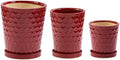 Napco House Plant Succulent Herb Flower Pot with Drainage and Saucer 6 x 8 Inch Ceramic Red Pucker Assorted Set of 3 by Napco
