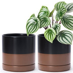 D'vine Dev 2-Pack Ceramic Pots with Saucers, Black/Tan, 6.5 in, 94-V-C-7 by DvineDevPlanterPotsandStand