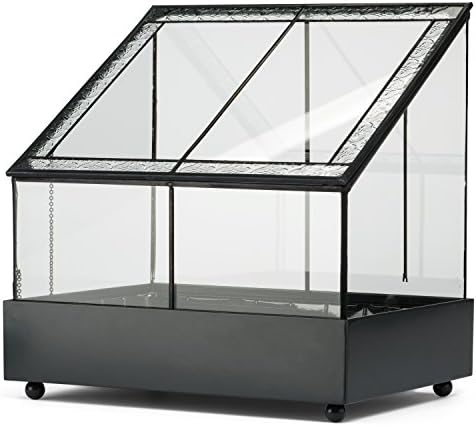 H Potter Terrarium Wardian Case Plant Container Succulent Planter Fairy Garden Display Case WAR153 - Image 2