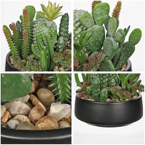DILATATA Artificial Cactus Plants in Pot 5.5 Inch Fake Succulents Arrangement Potted Plant in Black Ceramic Planter Bowl for Home Office Desk Shelf Living Room Bedroom Bathroom Decor - Image 3